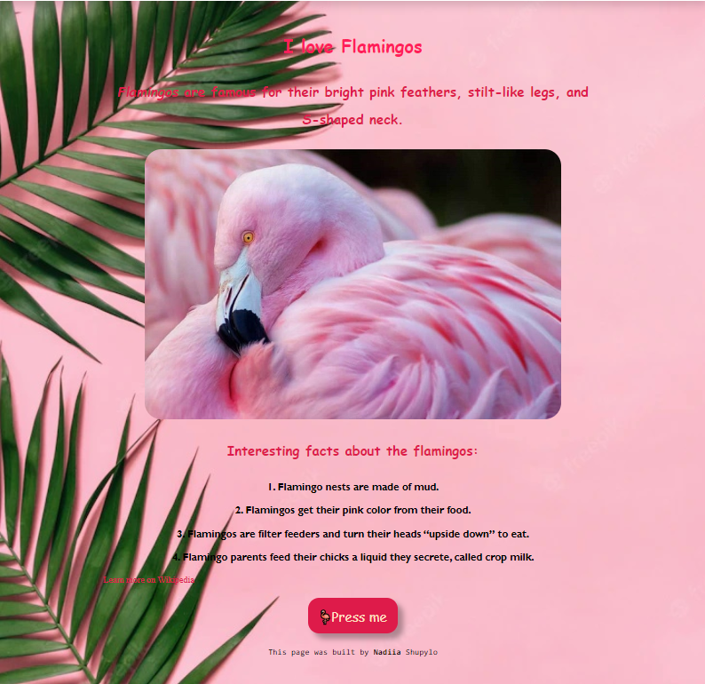 Flamingo project preview